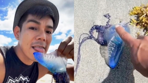 Man picks up and licks 'slimy creature without realizing it could be a threat to his life