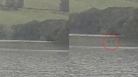 Photographer sparks debate after revealing captivating pictures of 'Loch Ness Monster' 