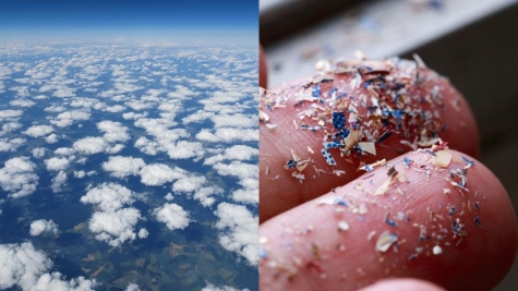 NASA discovers mysterious holes in Florida's clouds that can be seen from space regarding UFO reports
