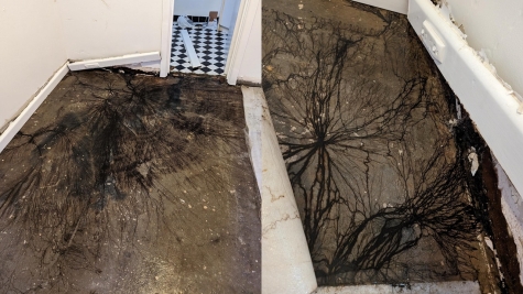 Homeowner stunned after spotting strange slime under floors