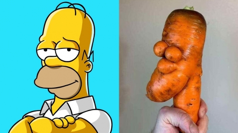 Man stunned after discovering his carrot bears likeness to Homer Simpson