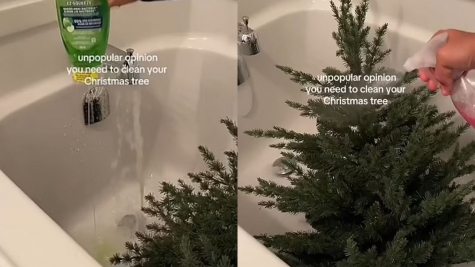 Woman sparks debate after revealing she DEEP CLEANS her Christmas tree 