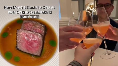 Food enthusiast shows close-up of $2,500 spent on a meal at Disney's most EXPENSIVE restaurant, leaving people stunned 