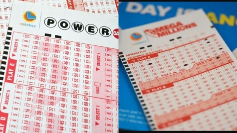 Harvard Professor stuns people by revealing best ways to increase your chances of winning the lottery