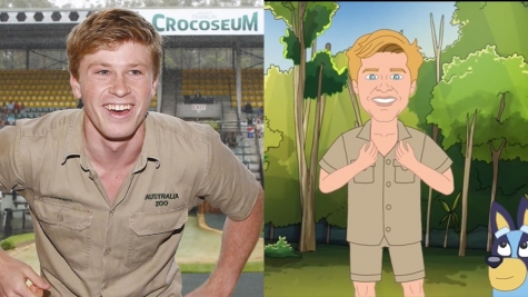 Robert Irwin takes legal action against Pauline Hanson over his character in cartoon