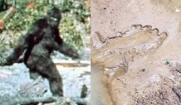 Bigfoot hunter stunned after spotting nine-inch footprint with five stumpy toes of the legendary beast