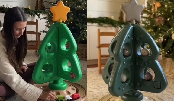 Mom sparks debate after spraying paint on daughter's Christmas toys with beige