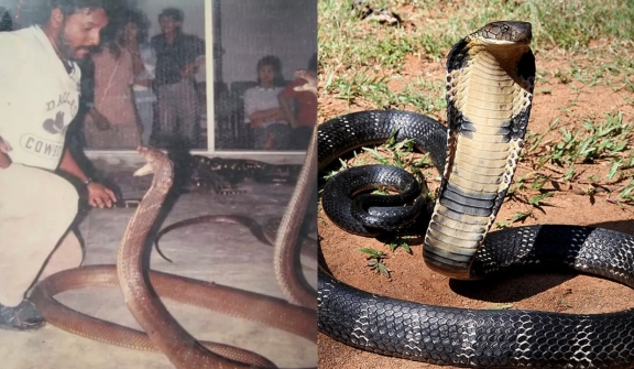 Man dubbed the Snake King was once locked up for 40 days in a room with 400 cobras