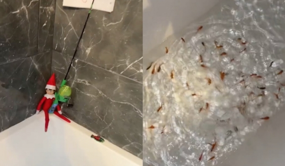 Mother criticized for decorating 