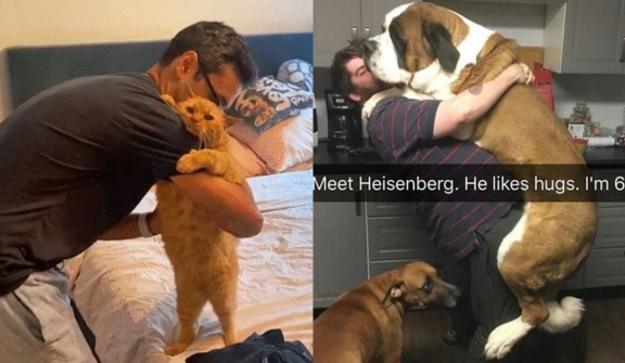 15+ moments of animals cuddling humans will melt your heart