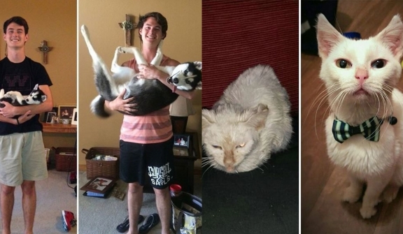 13+ pet before-and-after pics will show you how love can change their appearance