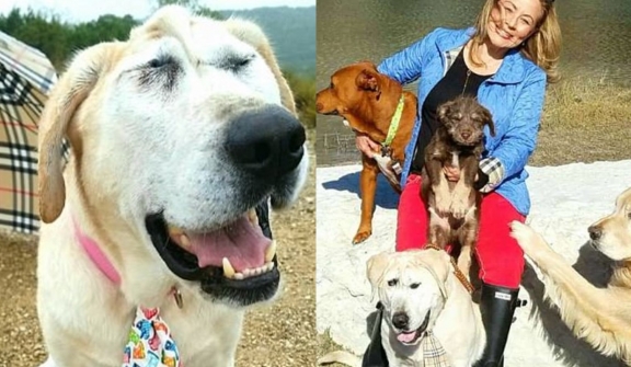 Dog with facial deformity has new life after 5 years being neglected