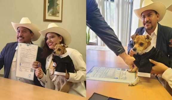 Little dog becomes witness to stamp parents' marriage certificate