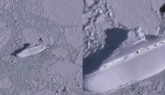 Google Earth users suddenly spotted 400ft ice ship in iceberg