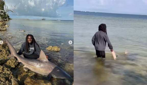 Man left viewers stunned after picking up live shark with his bare hands