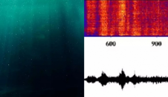Scientists spotted bizarre ultra-low-frequency sound coming from Earth's most remote place
