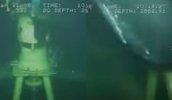 Scientists discover deep-sea creature during gas line inspection 3,000ft underwater