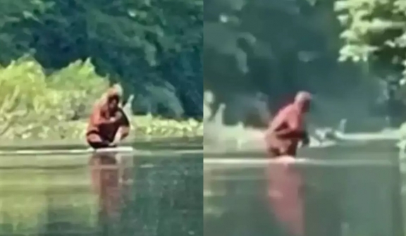 People baffled as the 'Bigfoot' sighting caught on a viral video