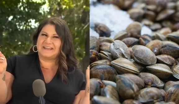 Mom fined $88K as kids mistakenly collected 72 clams after mistaking them for seashells