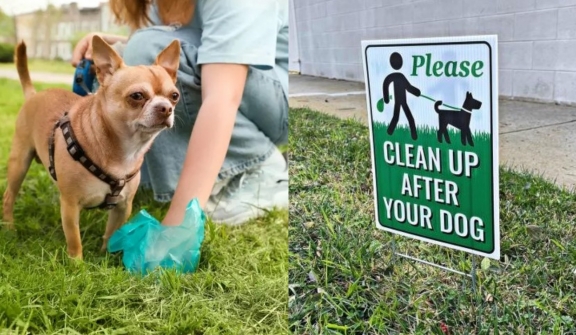 Authorities plan to use dog DNA to track down owners who don't clean up their pet's poop