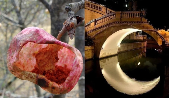 15 photos proving this world is filled with special things you may never noticed