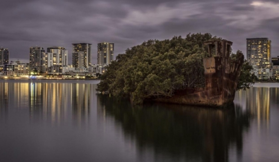 A 112-year-old SS Ayrfield turns into a beautiful floating forest