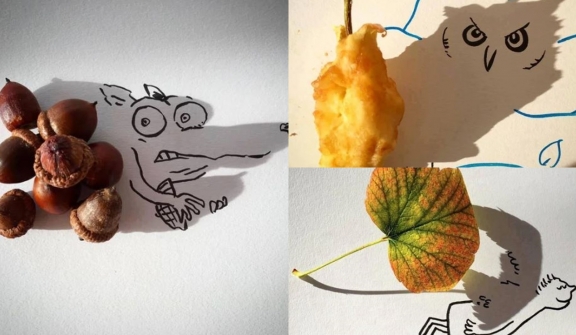 A set of creative drawings is drawn from shadows