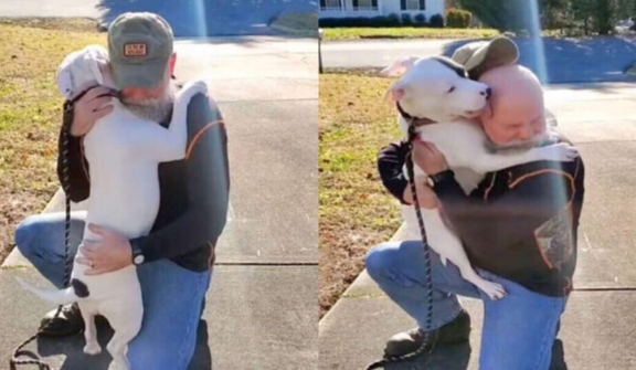 A newly adopted pitbull is ecstatic to have found a new family