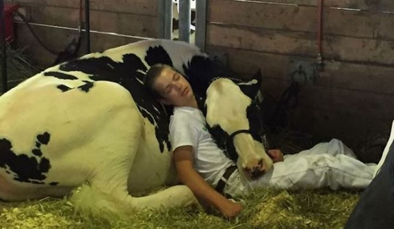 A tired boy and a cow fell asleep after losing a game but won the internet