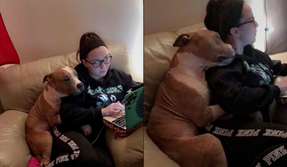 Grateful adopted dog can't stop hugging new owner from the shelter