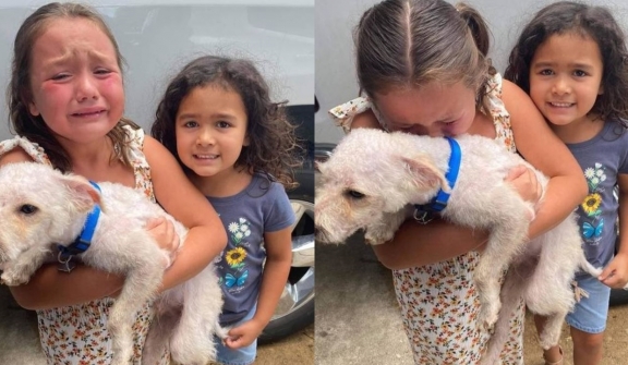 Little girl can't hold back tears of joy when her lost dog is finally found