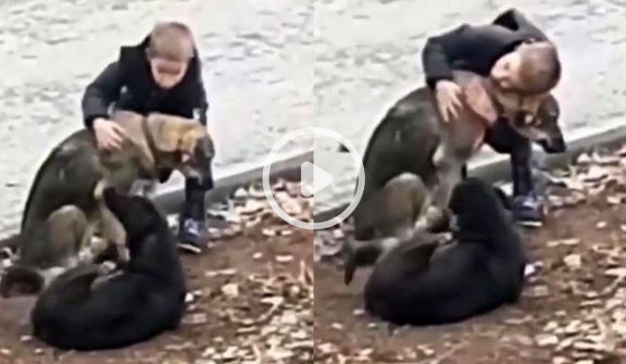 Sweet child hugs abandoned dogs when he thought no one was looking