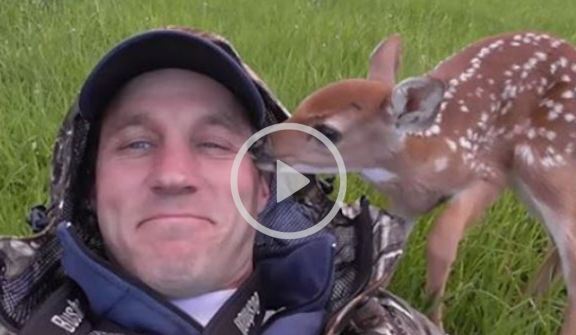 Touching the attached baby deer refuses to go away from the man who saved her life!