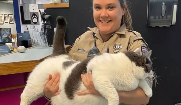 ‘Admirably gluttonous body’: 40 pound cat adopted from Virginia shelter