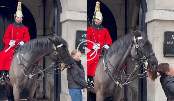 The king's bodyguard horse bit a woman's ponytail for getting too close (despite the signboard).