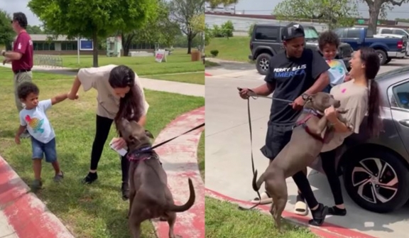 Dog reunites with Florida family after spending 301 days in texas animal shelter