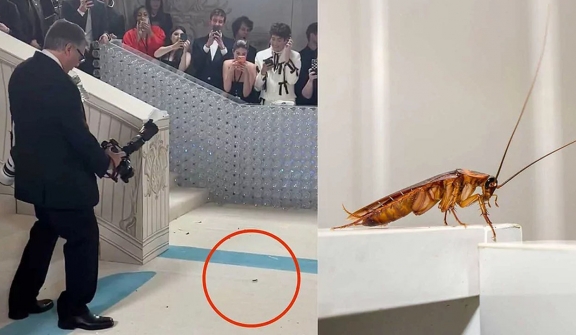 The prestigious Met Gala 2023 red carpet is in chaos due to a cockroach