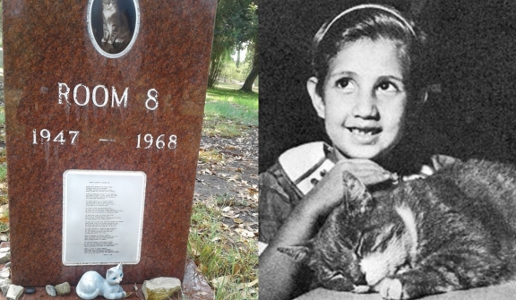 Studious Cat's Tombstone shares touching tale in heartwarming memorial
