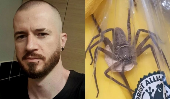 Man's terrifying encounter with giant spider hiding in banana