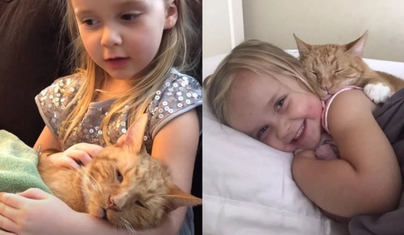 Heartbroken little daughter sings to cat as he passes away, but their friendship endures