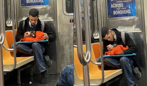 Heartwarming photos of man caring for tiny kitten on subway go viral