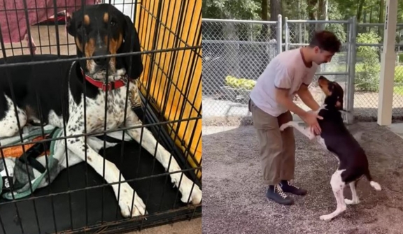 The loudest dog at the shelter speechless when he reunites with his dad