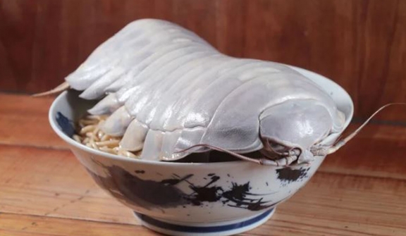 Taiwanese restaurant introduces giant isopod ramen to daring diners