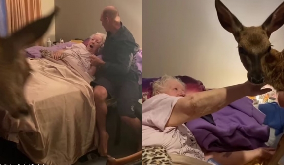 Daughter brings Bambi to visit dying mother, capturing an emotional moment