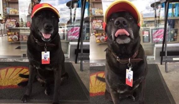 Negão - The abandoned dog becomes gas station attendant