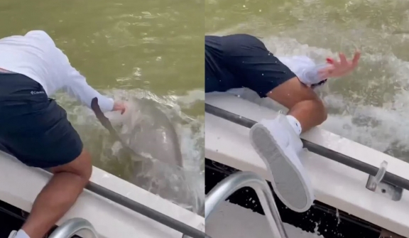 Terrifying moment Florida fisherman was bitten by shark out of nowhere and drag him into the water