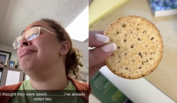 Woman cried after accidentally eating biscuits covered in ants, thinking they were seeds