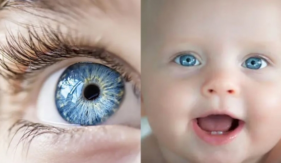 Here is this one thing in common among people with blue eyes