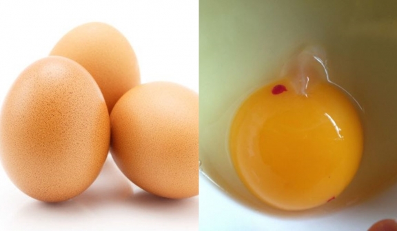 Have you ever wondered about those red and brown spots in cracked chicken eggs? Let's find out