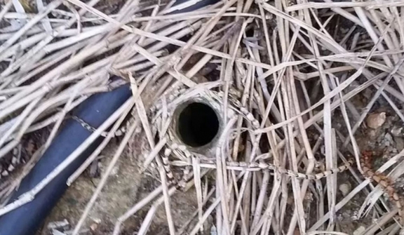 Man stunned by  discovering sinister truth behind a small hole  in his back garden